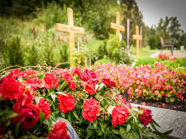 Friedhof Aldingen Grab mit Holzkreuz und Blumen im Vordergrund